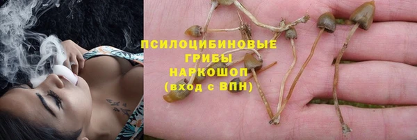 прущая мука Лиски
