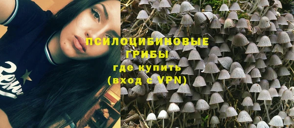 таблы Алзамай