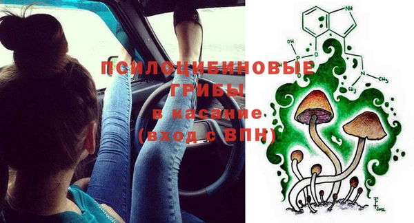 гидра Алексин
