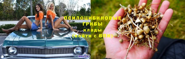 таблы Алзамай