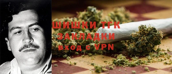 гидра Алексин