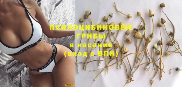 таблы Алзамай