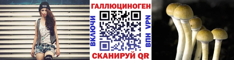 Псилоцибиновые грибы MAGIC MUSHROOMS  KRAKEN маркетплейс  Углич 