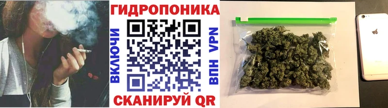 наркота  Углич  гидра онион  Бошки Шишки индика 